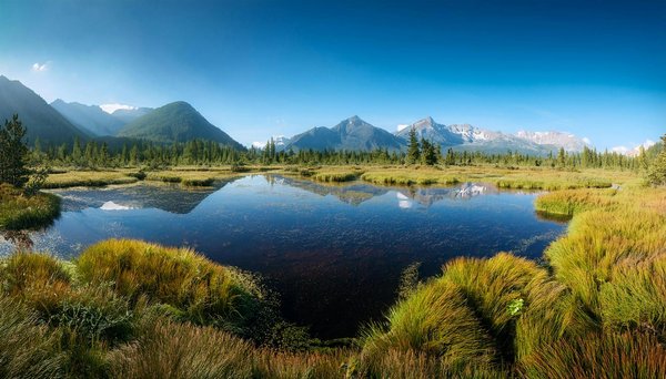 Welche umweltfreundlichen AktivitÃ¤ten gibt es fÃ¼r Reisende?